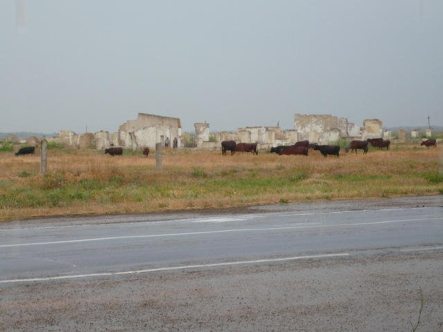 Ruins - Kaz