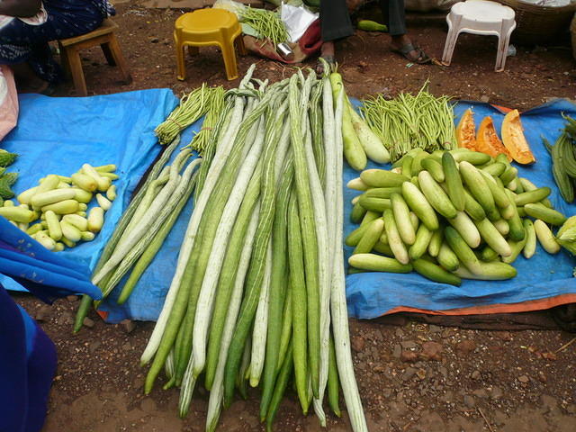 P1010457