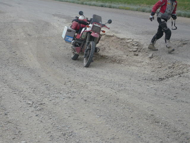 P1000273 - Copy
