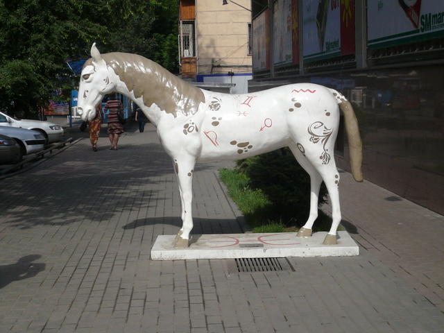P1000349 - Copy