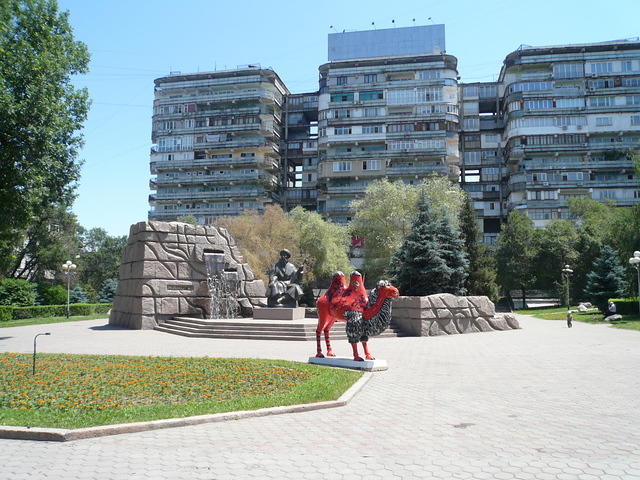 P1000351 - Copy