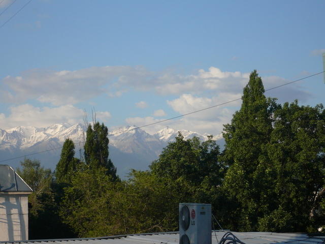 P1000367