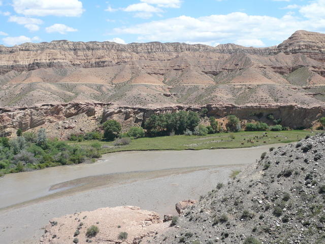 P1000386