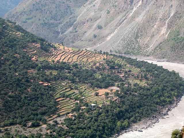 Terraced fields