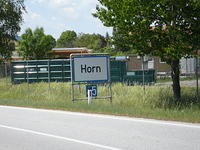Horn