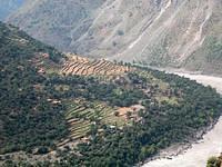 Terraced fields